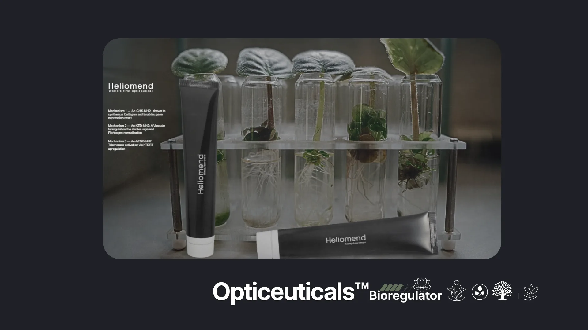 HelioMystic™ — A skincare and longevity line built on Dermogenix™ and Telogenix™ bioregulators,
