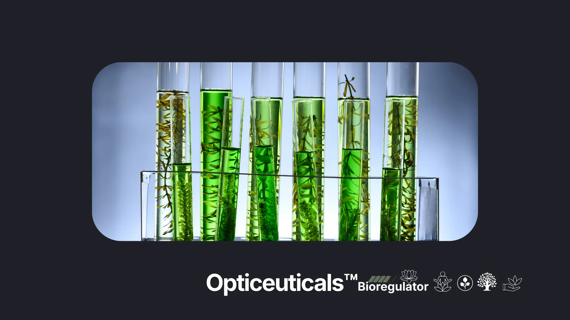 Opticeuticals — bioregulator-grounded nutraceuticals